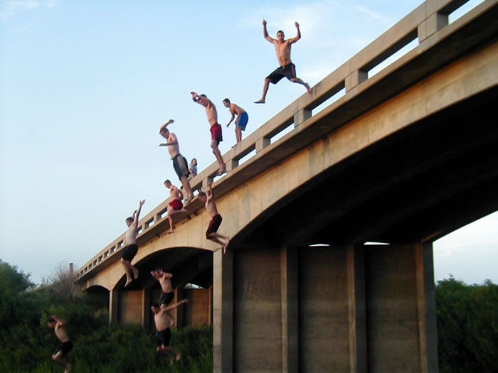 If Your Friends Jumped Off A Bridge      Dealerknows