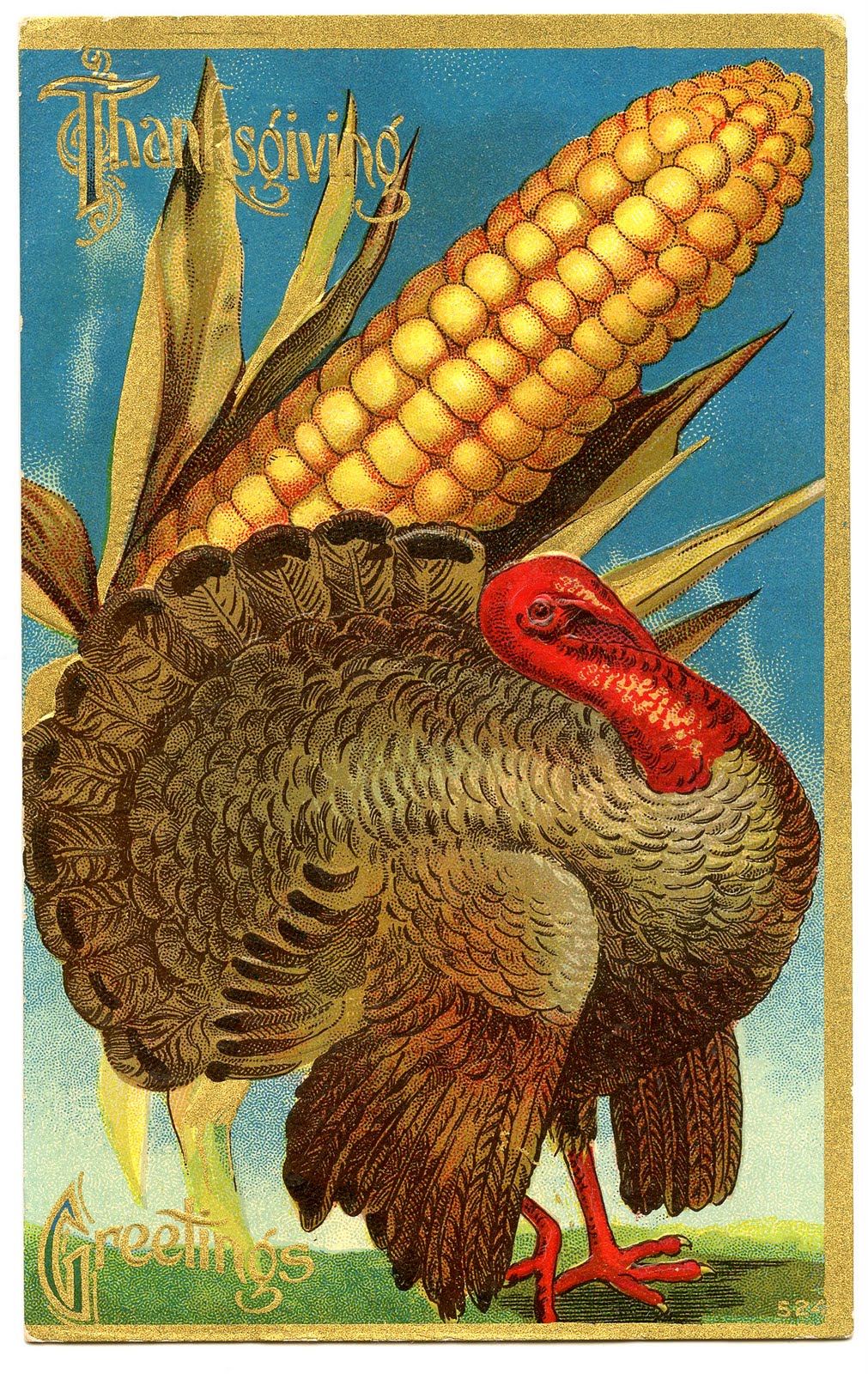 Vintage Thanksgiving Clip Art   Turkey And Corn   The Graphics Fairy