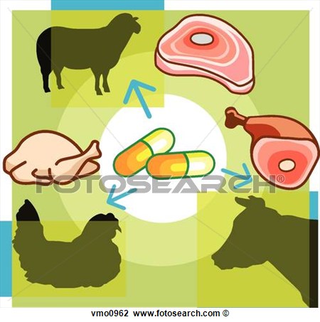     Antibiotics In Meat Containing Pills Meat Products And Livestock
