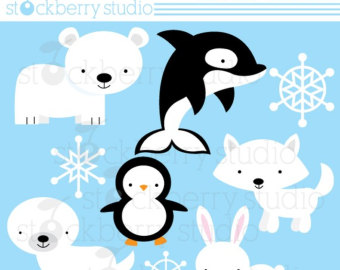 Arctic Animals Clipart   Personal And Commerical Use Clipart   Instant    
