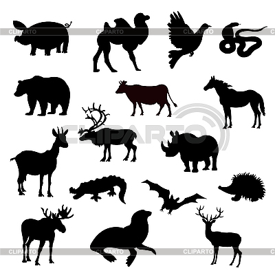 Comanimals Clip Art Pictures Vector Clipart Royalty Free Images 3