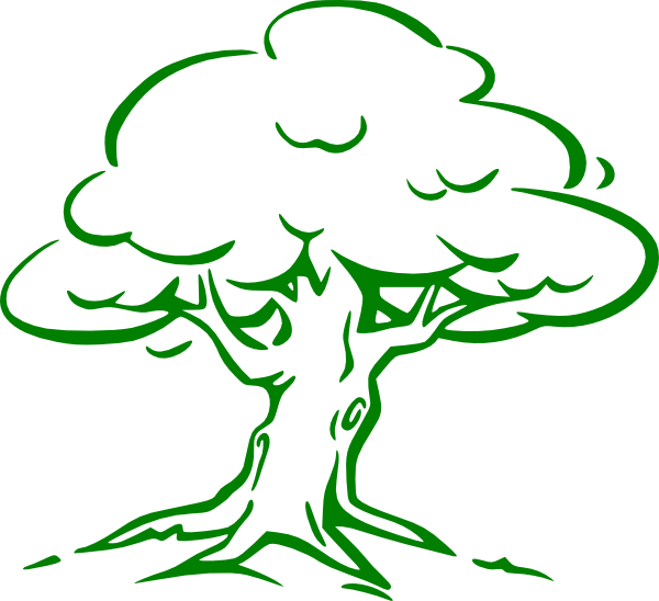 Green Oak Tree Clip Art At Clker Com   Vector Clip Art Online Royalty