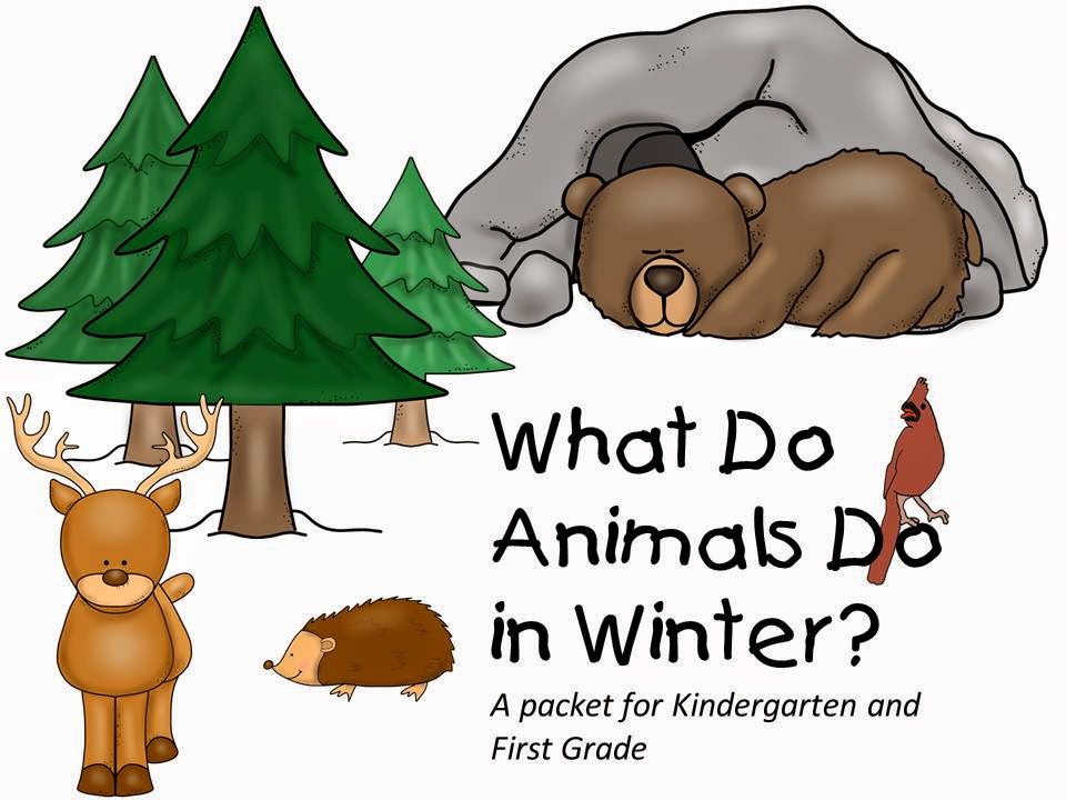Teacherspayteachers Com Product What Do Animals Do In Winter 1585502