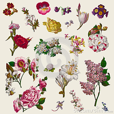 Vintage Victorian Flowers Clip Art With Clipping Paths
