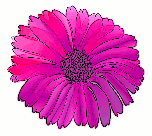      Com Plants Flowers Colors Pink Flower Flower Pink Purple Png Html