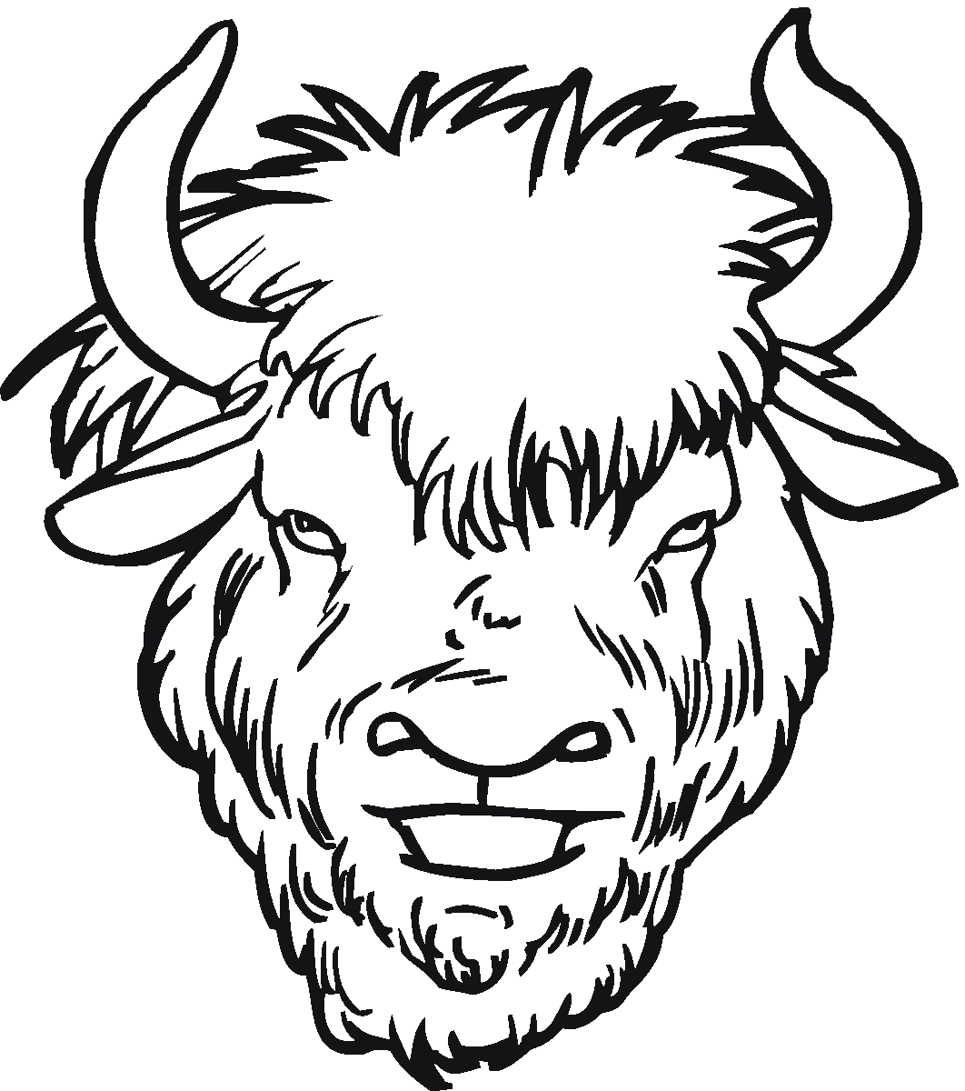 Free Buffalo And Bison Coloring Pages