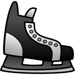 Ice Skating Shoe2