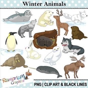 Winter   Arctic Animals Clipart
