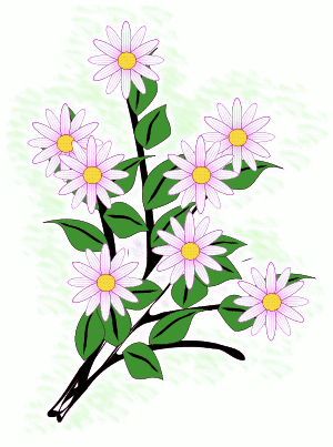 Bunch Of Flowers Png