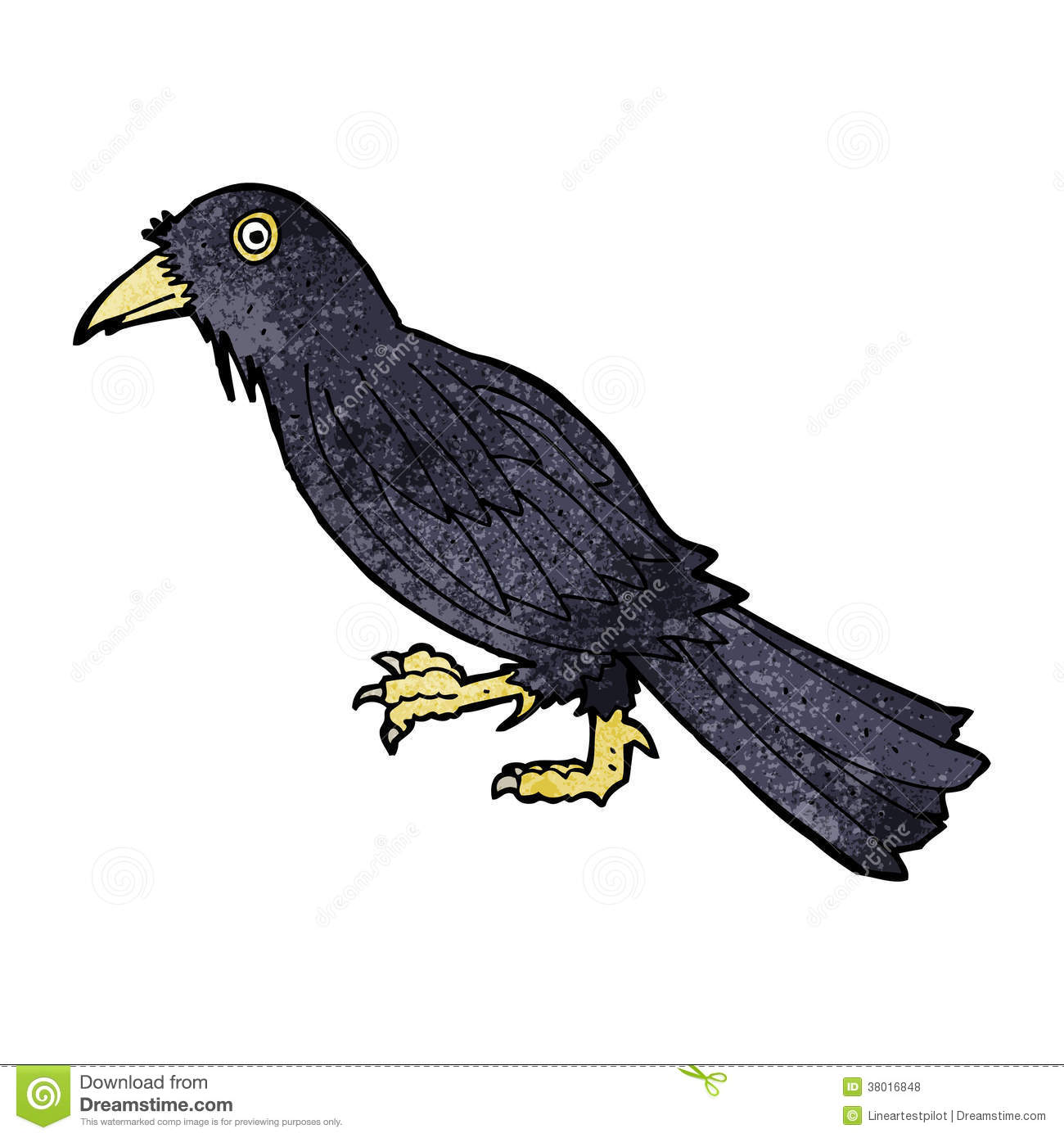 Cartoon Crow Royalty Free Stock Photos   Image  38016848