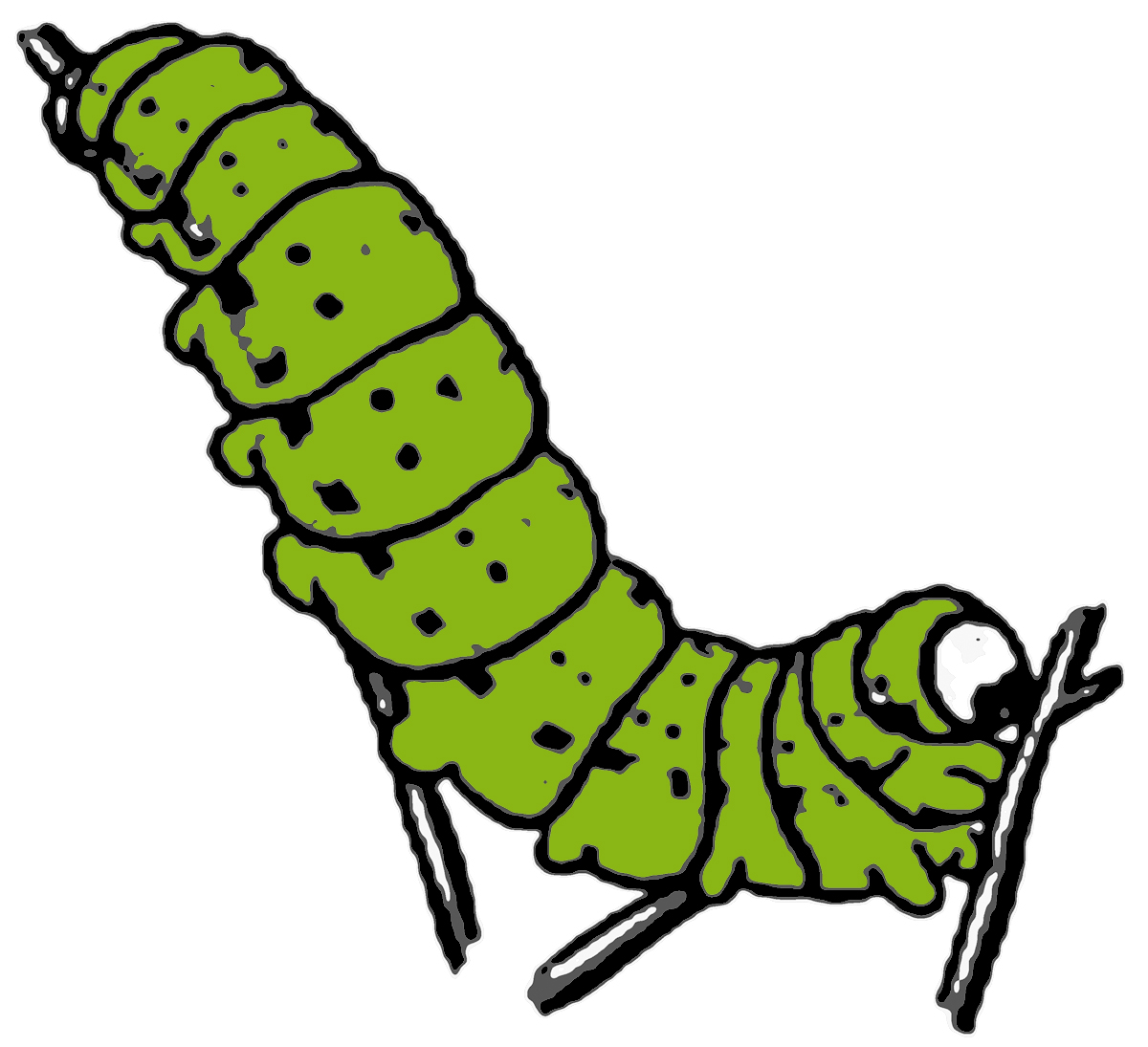 Caterpillar Clip Art   Cliparts Co