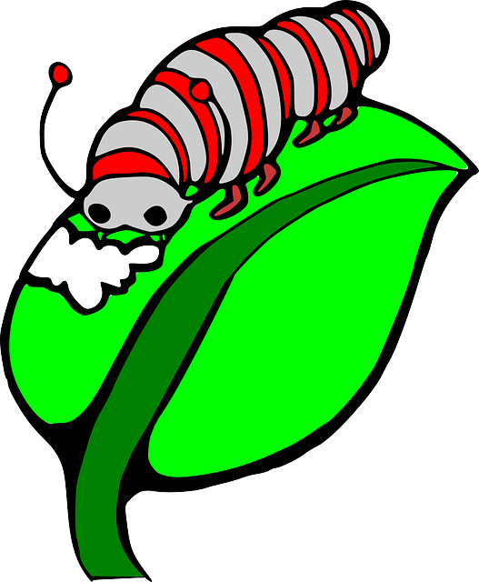 Caterpillar On A Leaf Clipart   Clipart Panda   Free Clipart Images