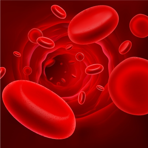 Does Not Have Enough Healthy Red Blood Cells Red Blood Cells Serve