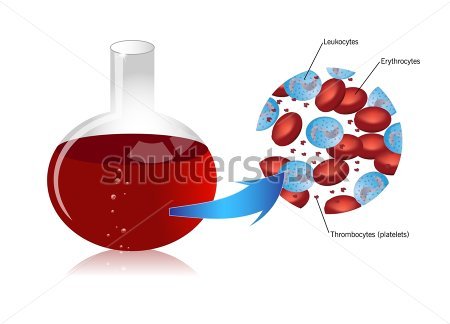 Erytrocyter Trombocyter Leukocyter Clipart   Clipartlogo Com