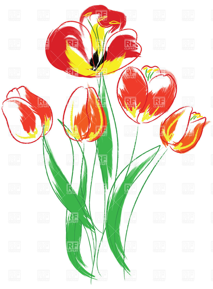 Hand Drawn Watercolor Tulips Bouquet Download Royalty Free Vector