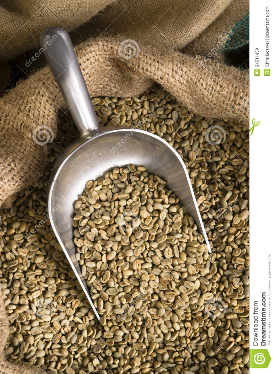 Raw Coffee Seeds Bulk Scoop Burlap Bag Agriculture Bean Big Sack Beans    
