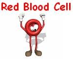 Red Blood Cell Clip Art Jpeg Jpg