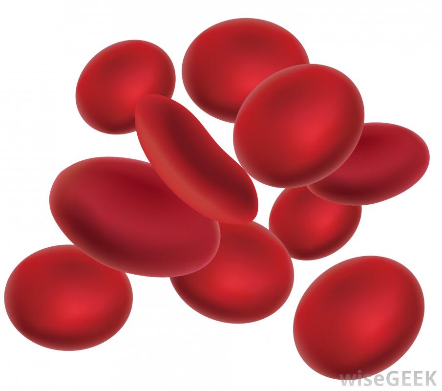 Red Blood Cell Diagram Free Cliparts That You Can Download To You
