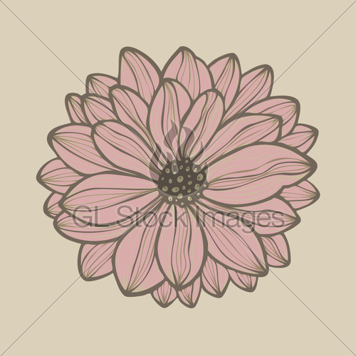 Vector Hand Drawn Flower   Gl Stock Images
