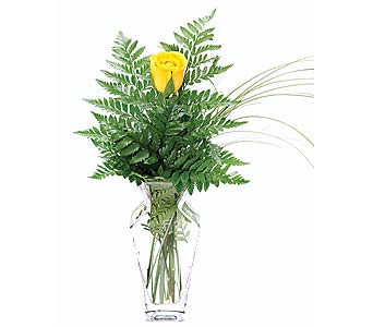 Ann Arbor Mi Oh Florist   Home   Simple Elegance Yellow Rose Bud Vase