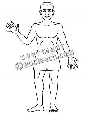 Clip Art  Human Body  Front View  Coloring Page    Preview 1
