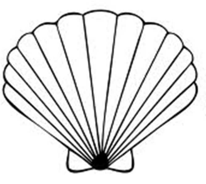 Clip Art Seashell   Free Cliparts That You Can Download To You