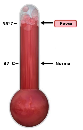 Description Thermometer Fever Svg