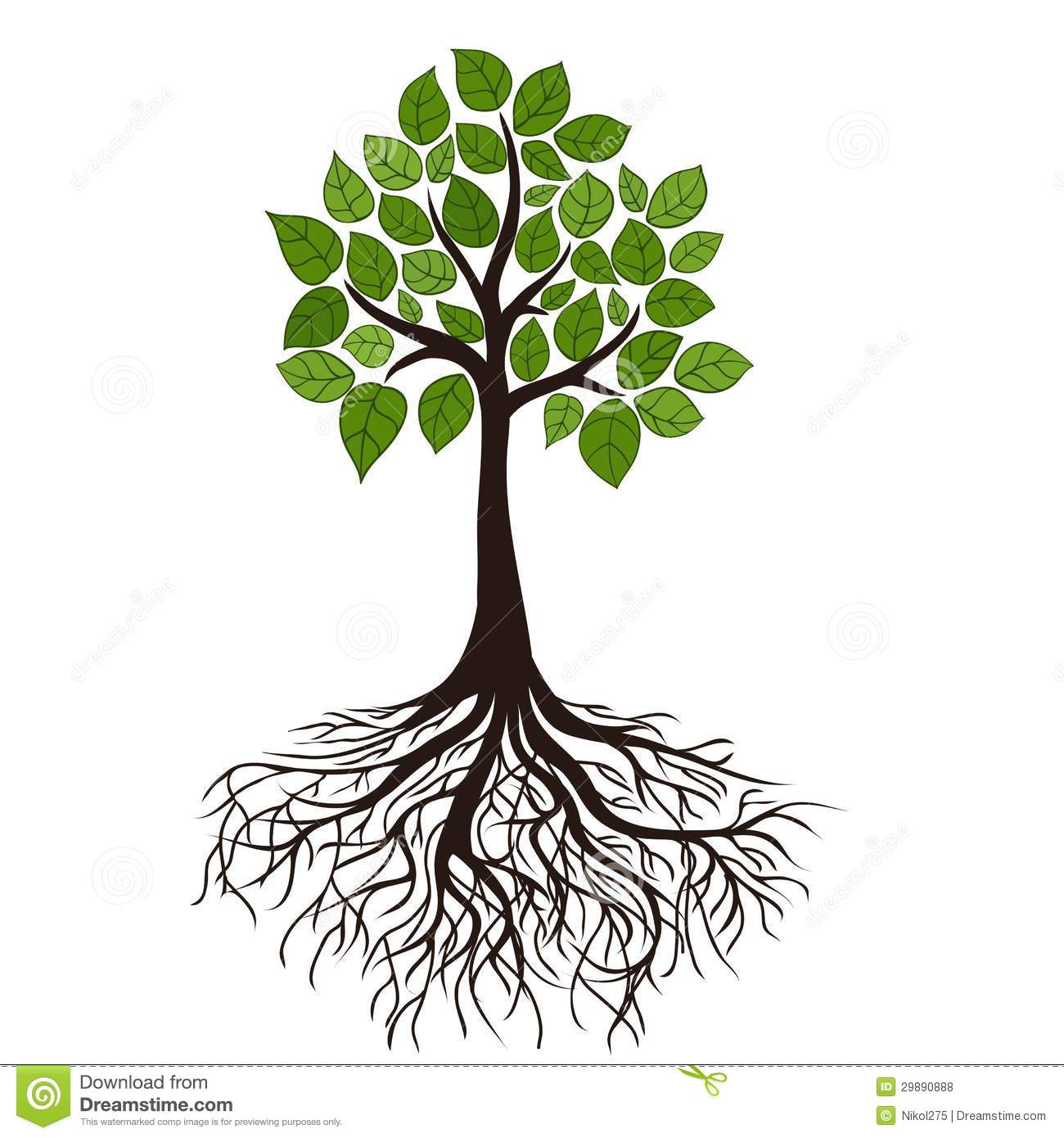 Tree With Roots Royalty Free Stock Photos   Image  29890888
