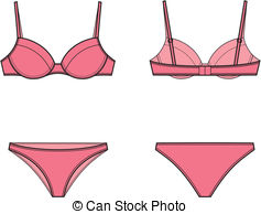 Underwear   Vector Illustration Of Womens Underwear Bra And