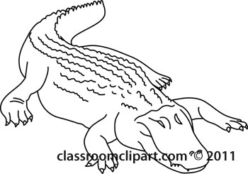 Animals   Aligator 3 Outline   Classroom Clipart