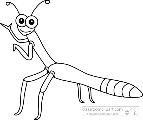 Animals   Stick Insect 01 1029 Outline   Classroom Clipart