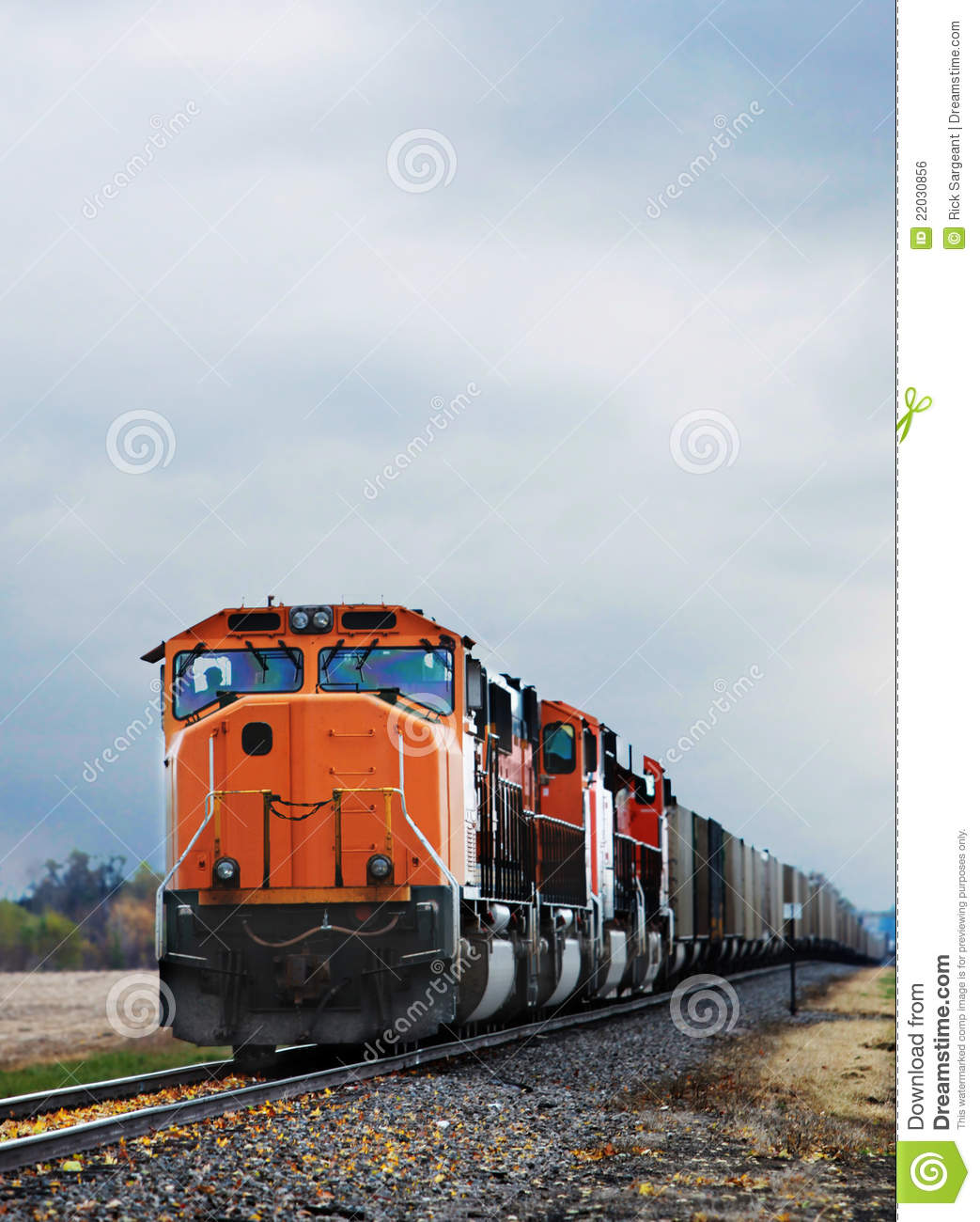 Cargo Train Royalty Free Stock Image   Image  22030856