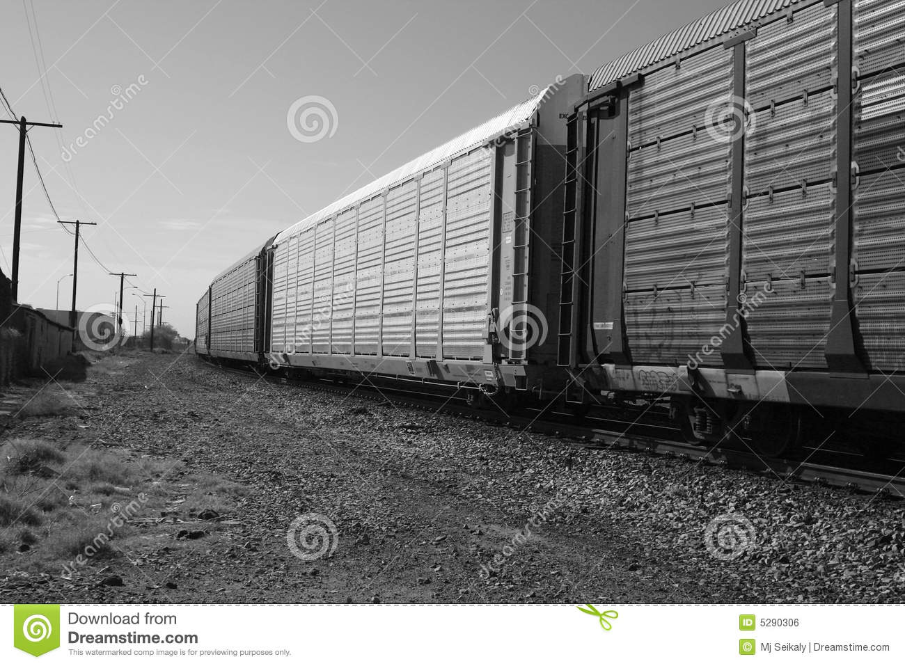 Cargo Train Royalty Free Stock Image   Image  5290306