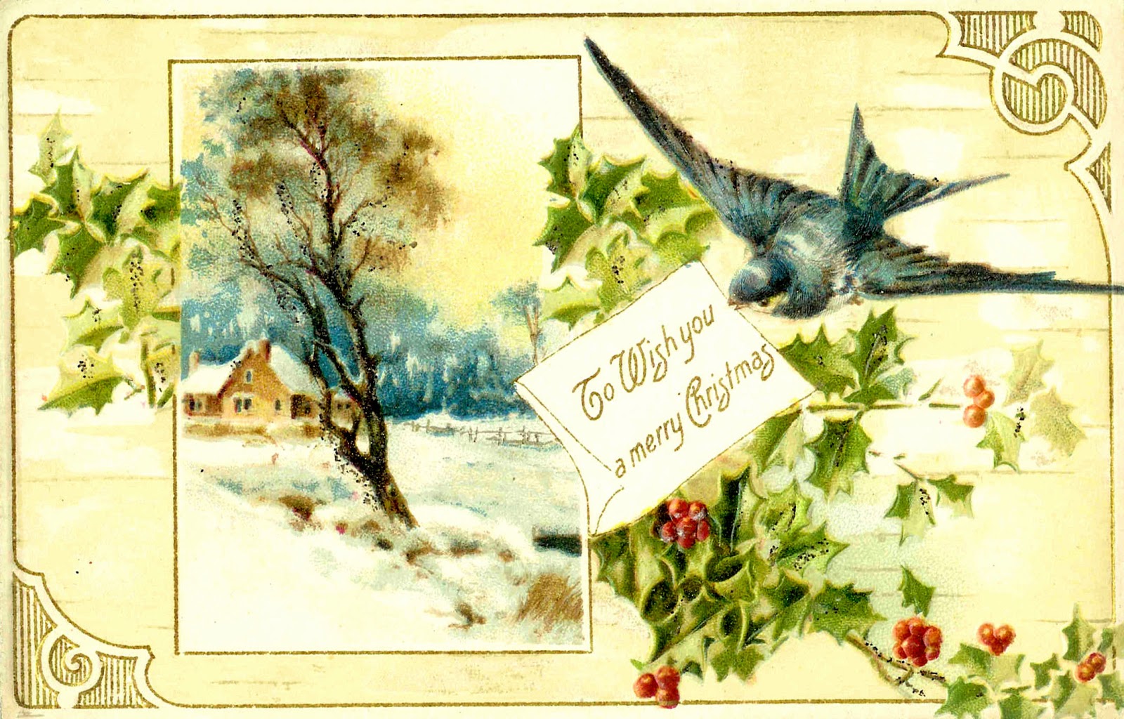 Christmas Graphic  Vintage Christmas Postcard With Blue Bird And Holly