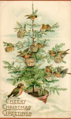 Christmas Vintage Birds Cats Mice   Misc  Animals On Pinterest   C    