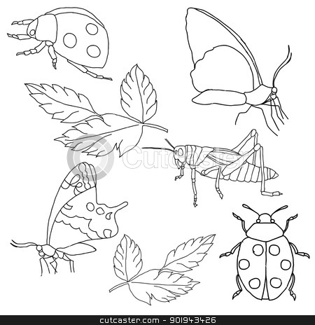 Insect Clipart Black And White