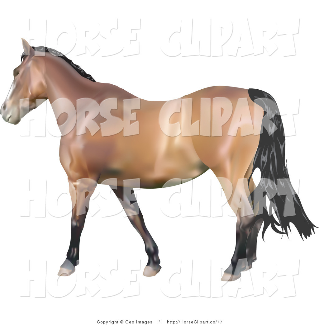 Larger Preview  Clip Art Of A Brown Horse With A Black Mane And Tail