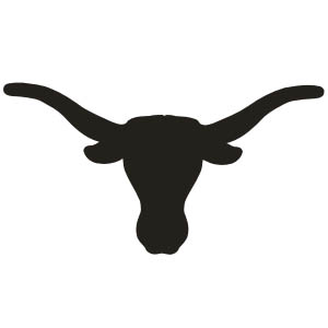 Texas Longhorn Bull Cow   