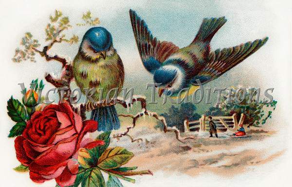 Vintage Christmas Clip Art Song Birds In A Winter Scenic Pictures
