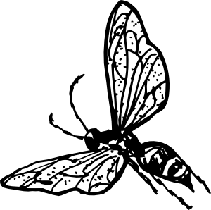 Wasp Clip Art At Clker Com   Vector Clip Art Online Royalty Free