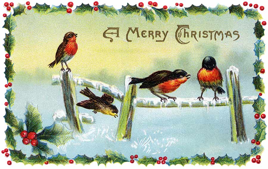 Winter Song Birds   A Vintage Christmas Card Illustration   The