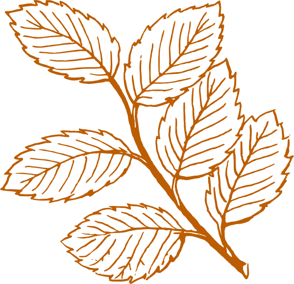 Burnt Orange Leaves Clip Art At Clker Com   Vector Clip Art Online
