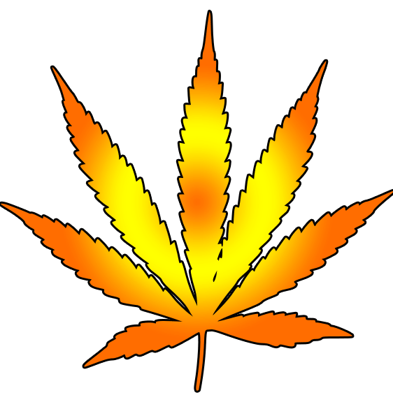 Cannabis Leaf Image