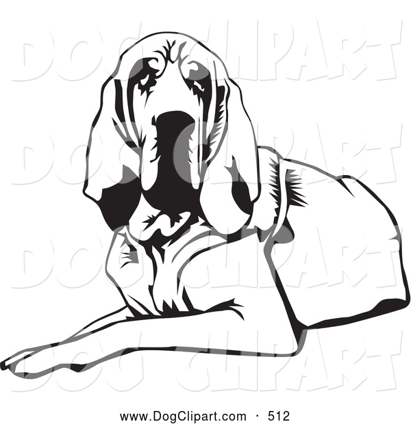 Clip Art Of A Cute And Tired And Lazy Bloodhound Dog Or St  Hubert    