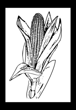 Corn Clip Art Free Vector In Open Office Drawing Svg    Svg   Format