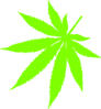 Kotik Cannabis Clip Art At Clker Com   Vector Clip Art Online Royalty