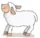Lamb Sheep