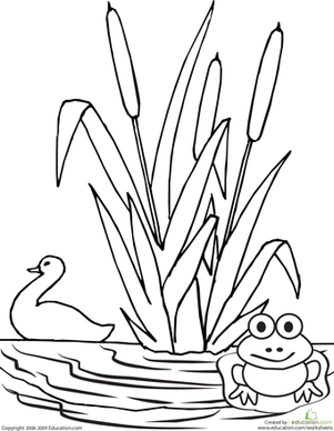 Color The Pond   Coloring Page   Education Com