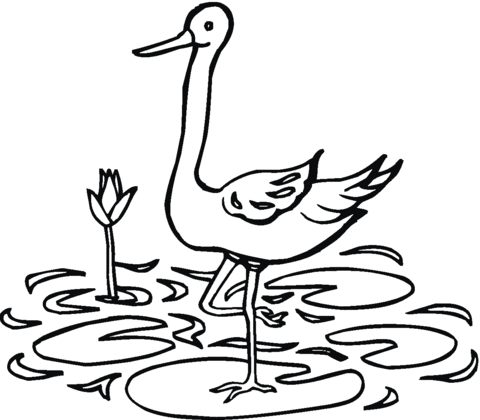 Crane In The Pond Coloring Page