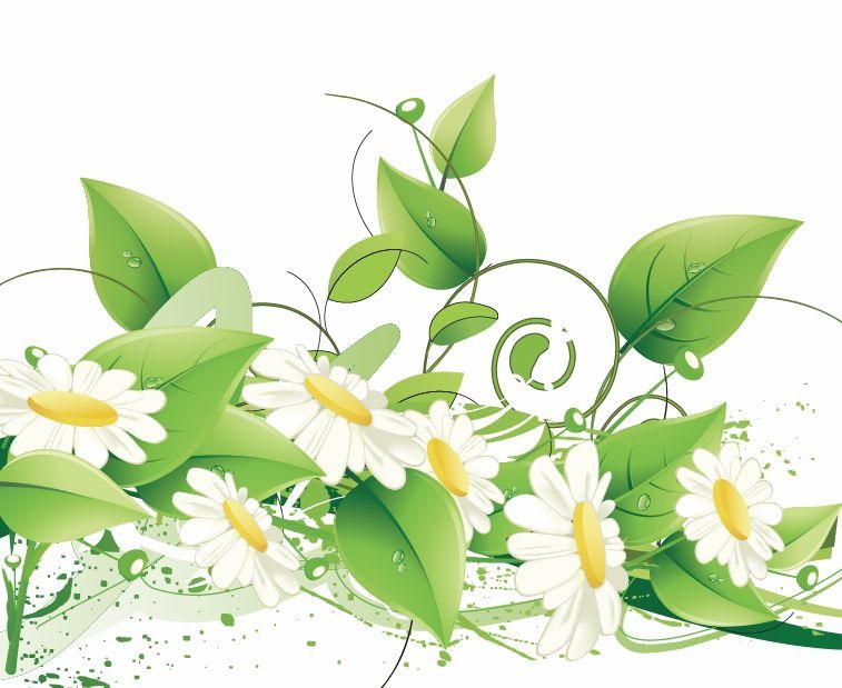Elegant Floral Vector Background   Free Vector Graphics   All Free Web